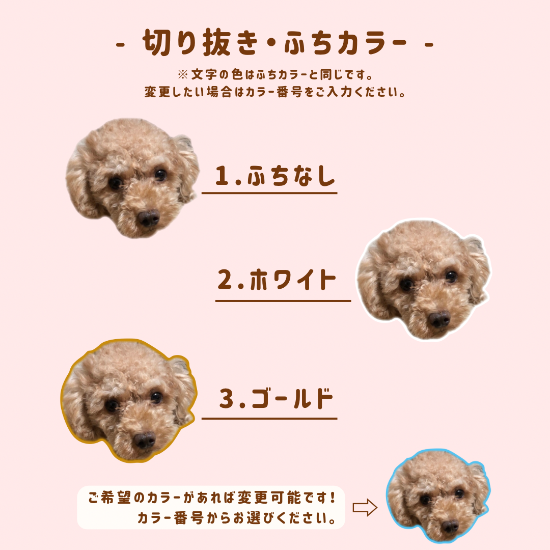 【うちの子】ふわふわブランケット