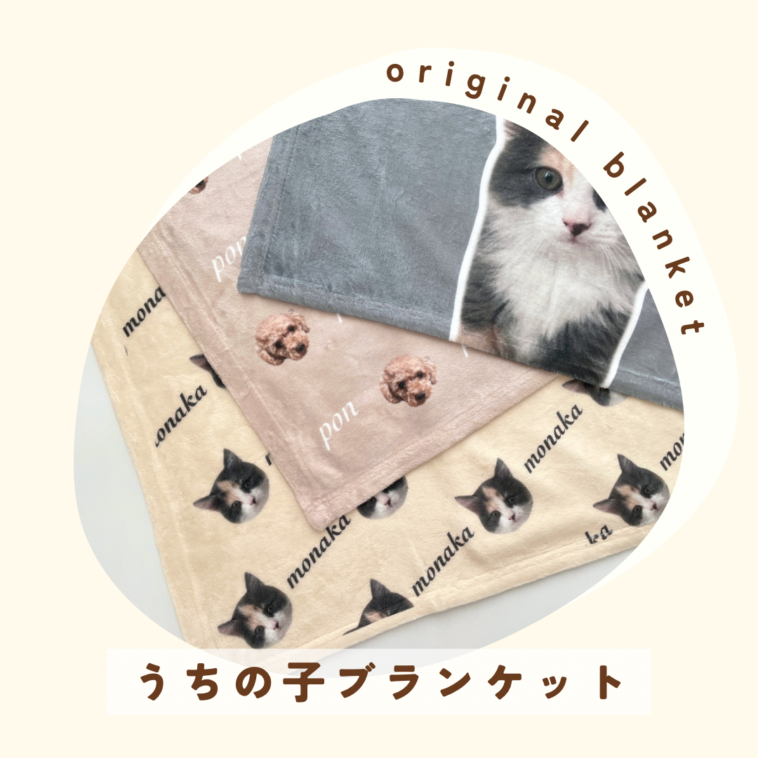 【うちの子】ふわふわブランケット