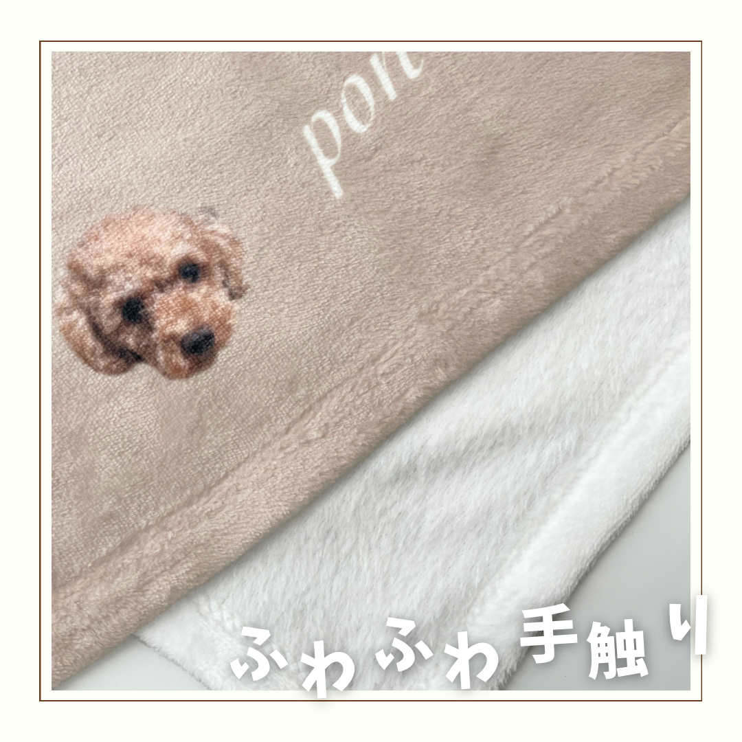 【うちの子】ふわふわブランケット