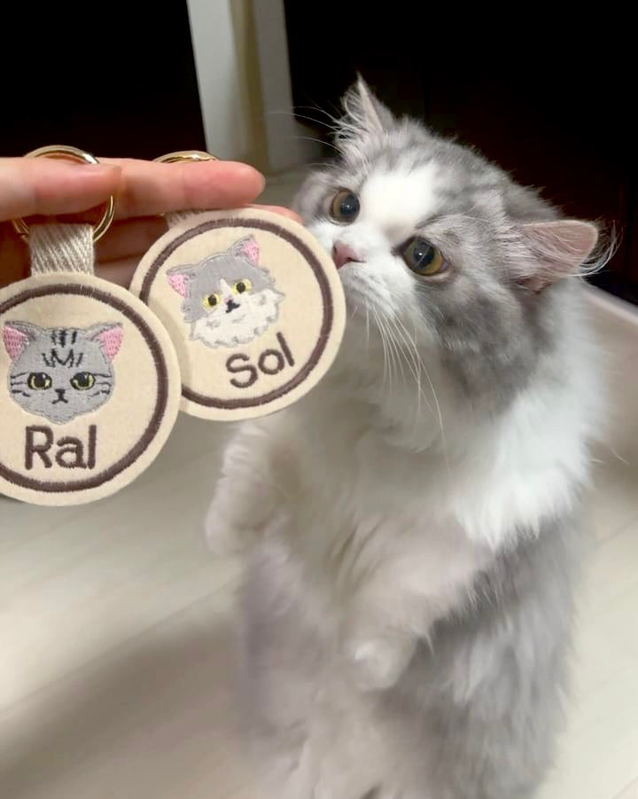 猫ネームタグ・迷子札