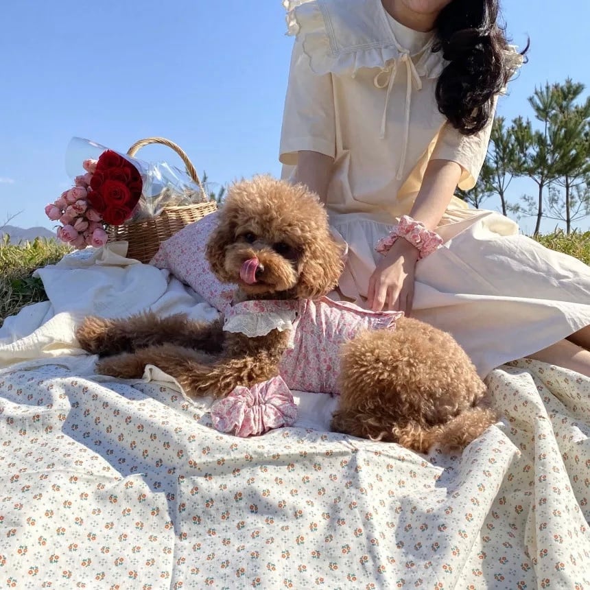 【M】ローズキャミソール